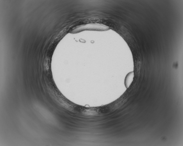 X0000115270232200912111210