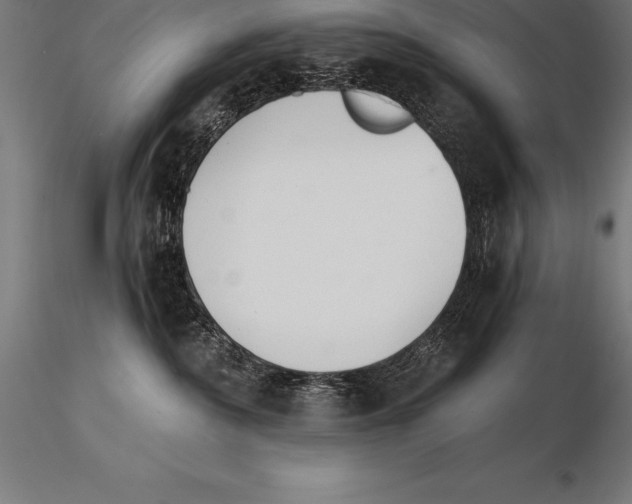 X0000115270236200912111210