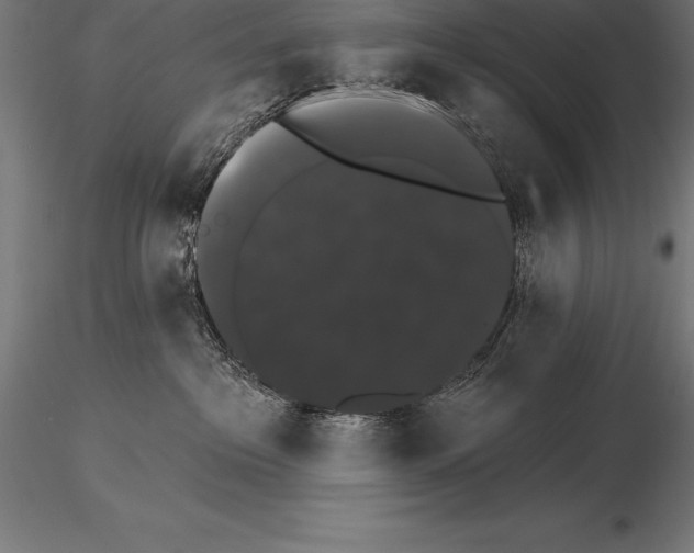 X0000115270237200912111210