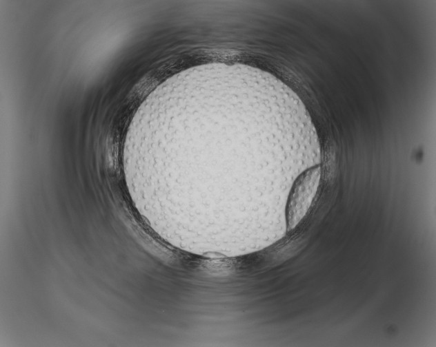 X0000115270238200912111210