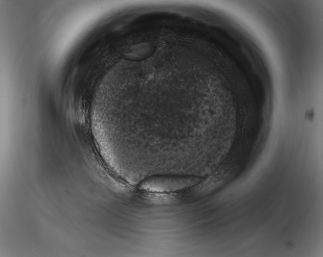 X0000115270239200912111210