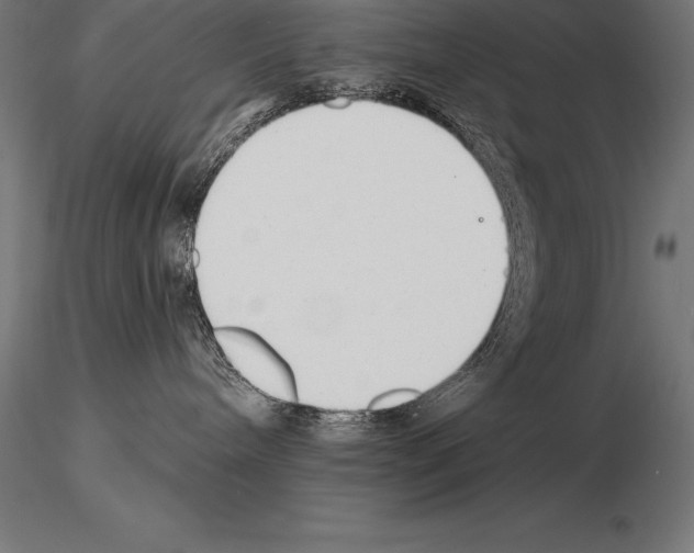 X0000115270240200912111210