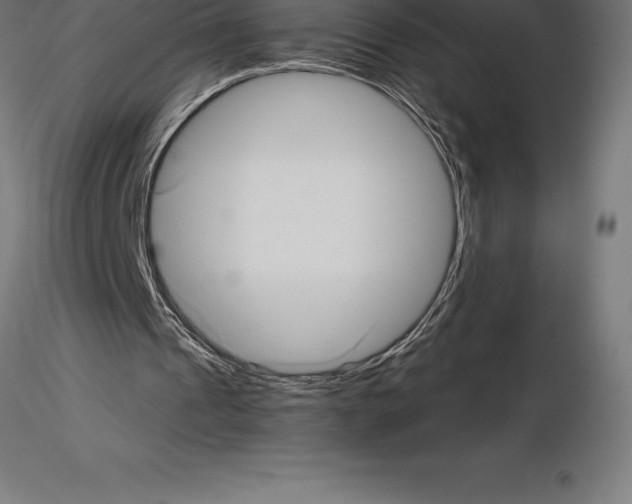 X0000115270241200912111209