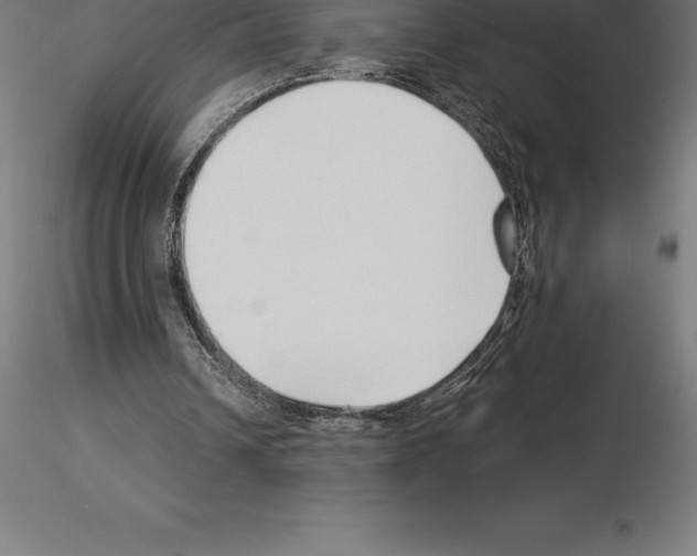 X0000115270242200912111209