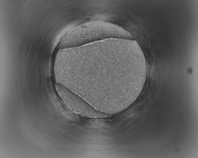 X0000115270244200912111209