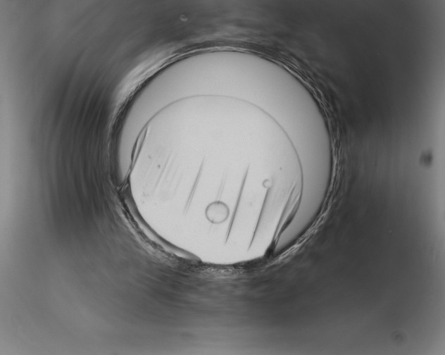 X0000115270245200912111209