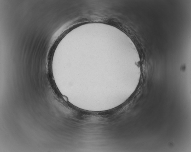 X0000115270246200912111209