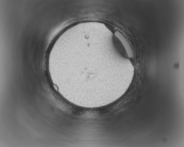 X0000115270248200912111209