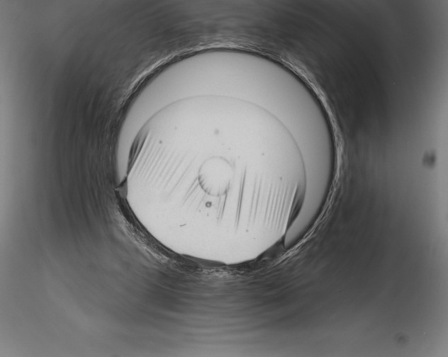 X0000115270249200912111209