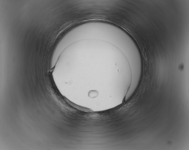 X0000115270253200912111209