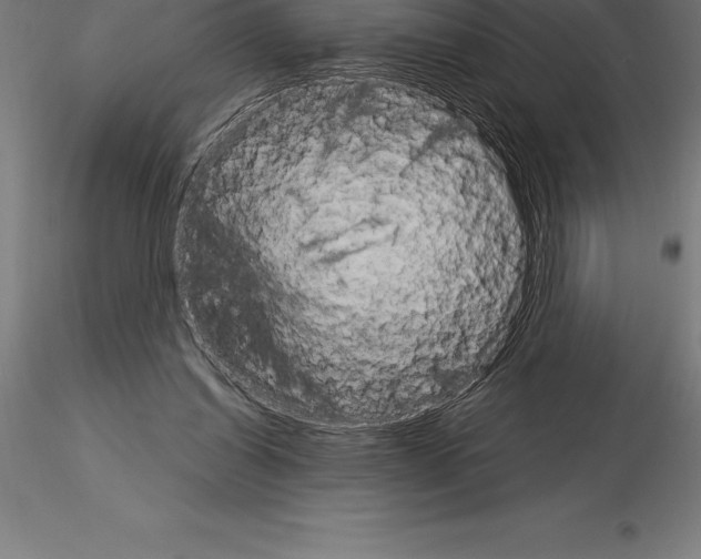 X0000115270254200912111209