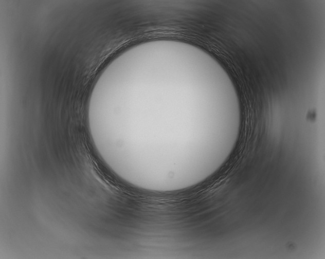 X0000115270255200912111209