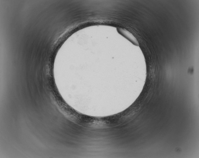 X0000115270256200912111209