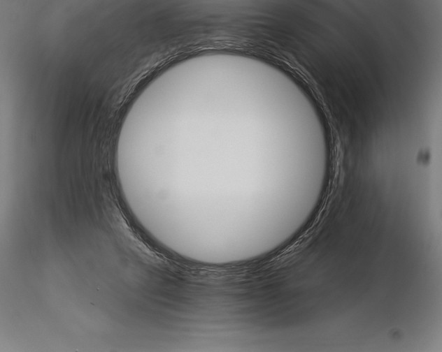 X0000115270257200912111209