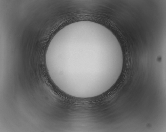 X0000115270259200912111209