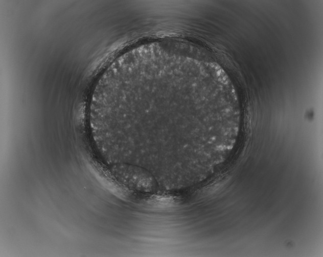 X0000115270260200912111210