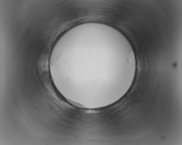 X0000115270261200912111210