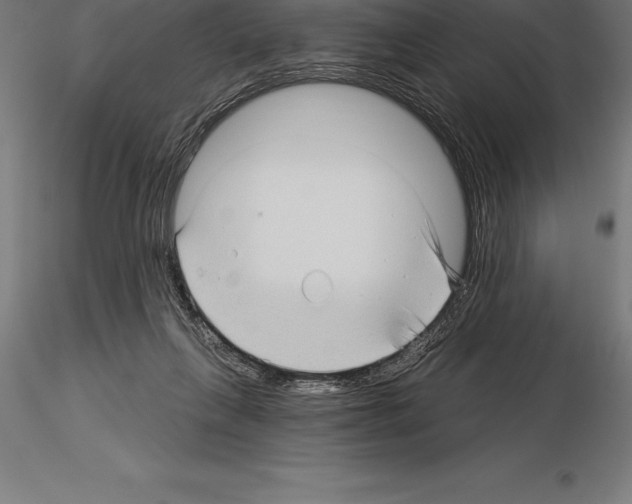 X0000115270263200912111210