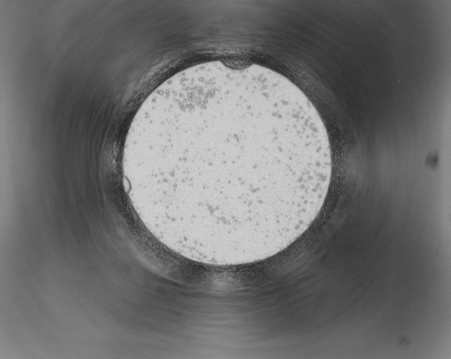 X0000115270264200912111210