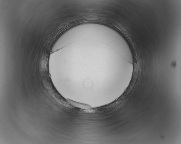 X0000115270265200912111210