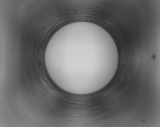 X0000115270267200912111210