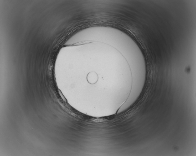 X0000115270269200912111210