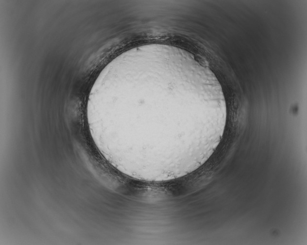 X0000115270270200912111210