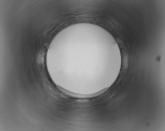 X0000115270271200912111210