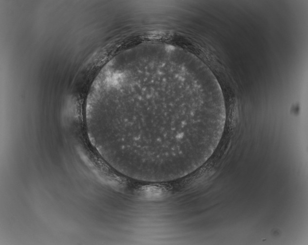 X0000115270272200912111210