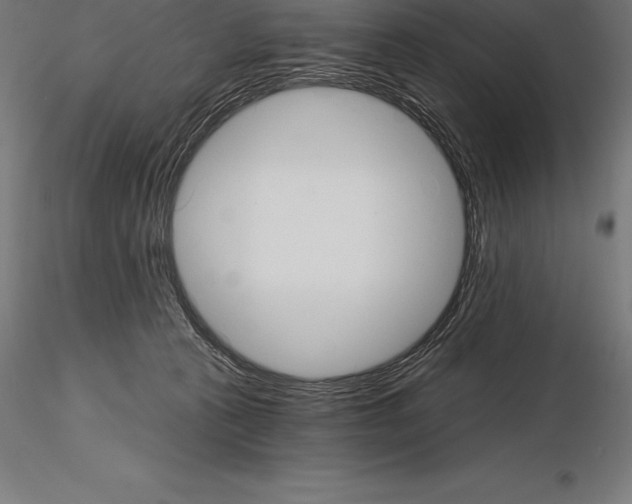 X0000115270273200912111210