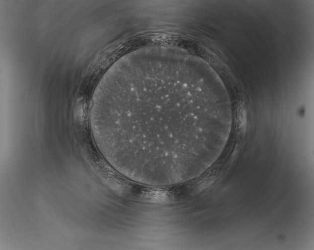 X0000115270276200912111210