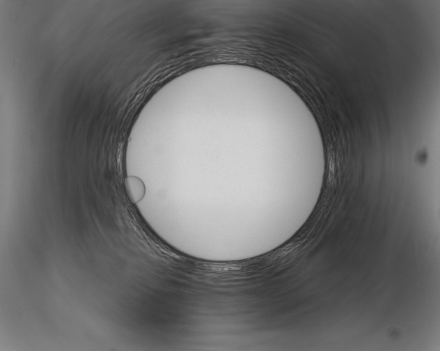 X0000115270278200912111210