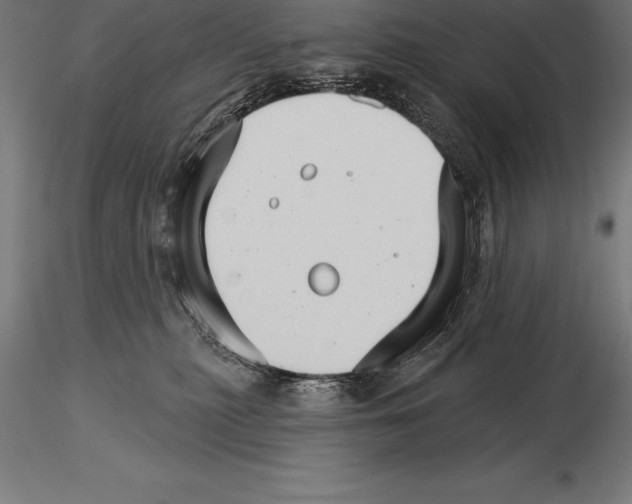 X0000115270279200912111210