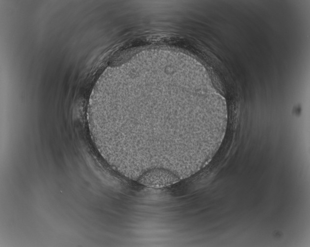 X0000115270280200912111210