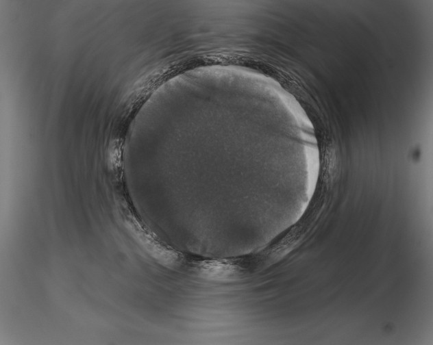 X0000115270284200912111210