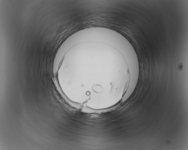 X0000115270285200912111210