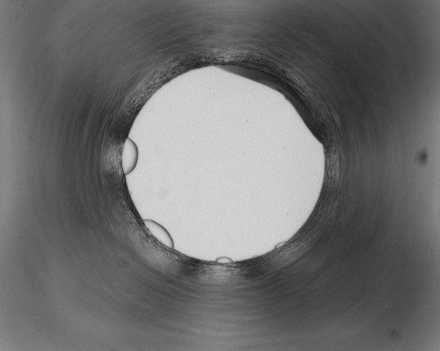 X0000115270286200912111210