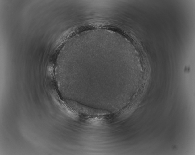 X0000115270288200912111210