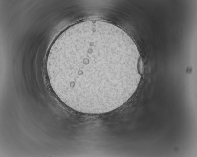 X0000115270289200912111209