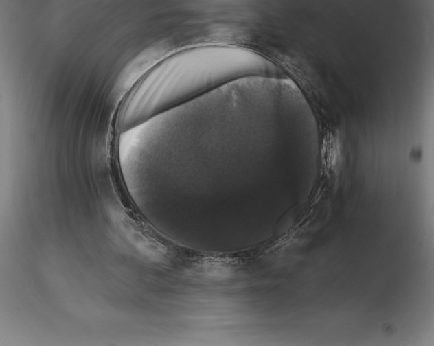 X0000115270292200912111209