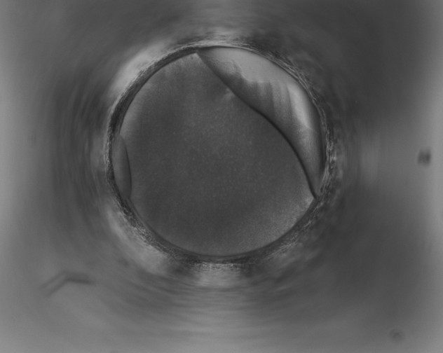 X0000115270296200912111209