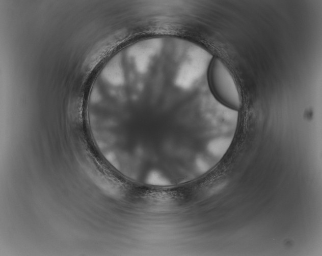 X0000115270299200912111209