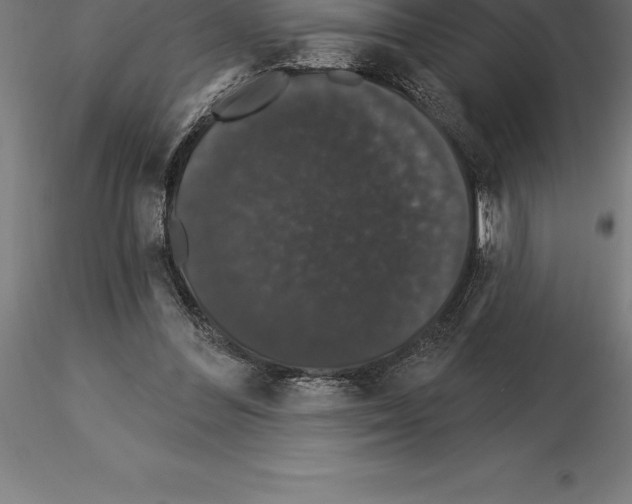 X0000115270300200912111209