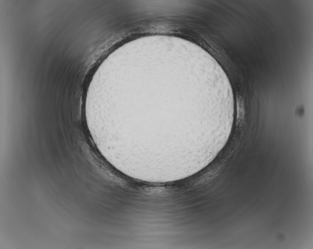 X0000115270301200912111209