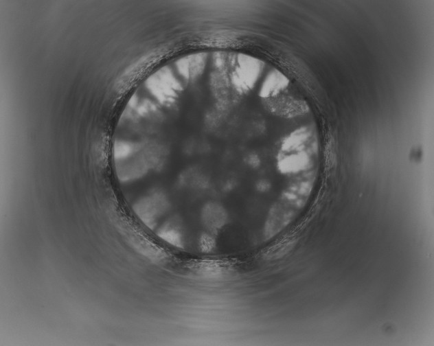 X0000115270305200912111209