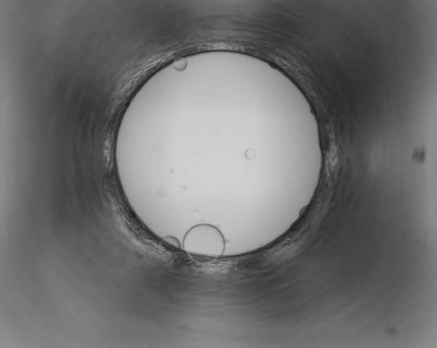 X0000115270306200912111209