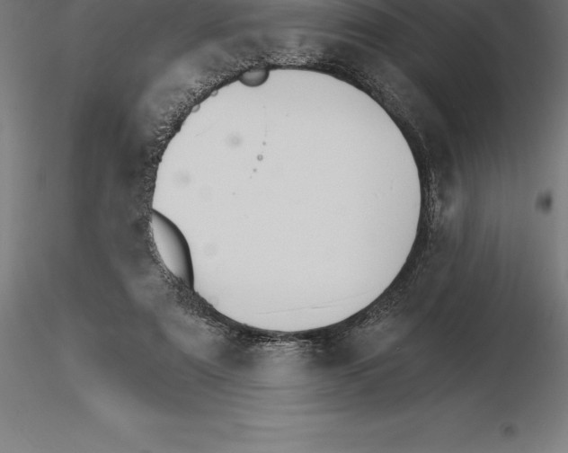 X0000115270307200912111209