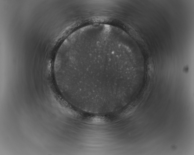 X0000115270308200912111209