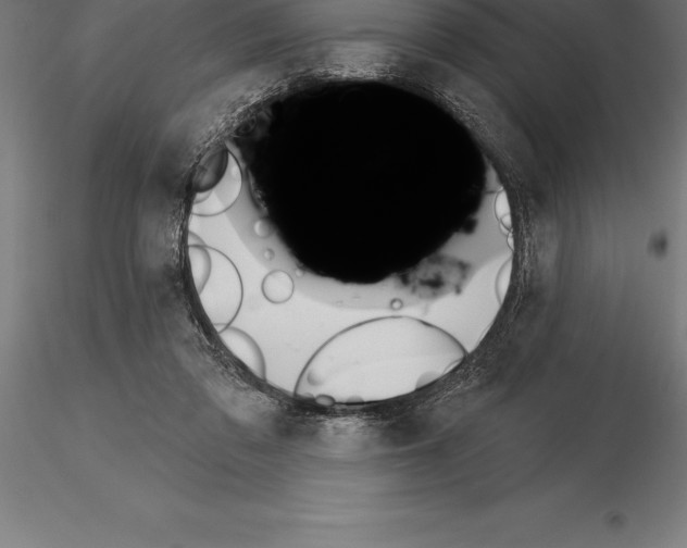 X0000115270309200912111209