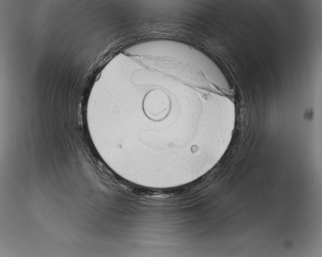 X0000115270312200912111209